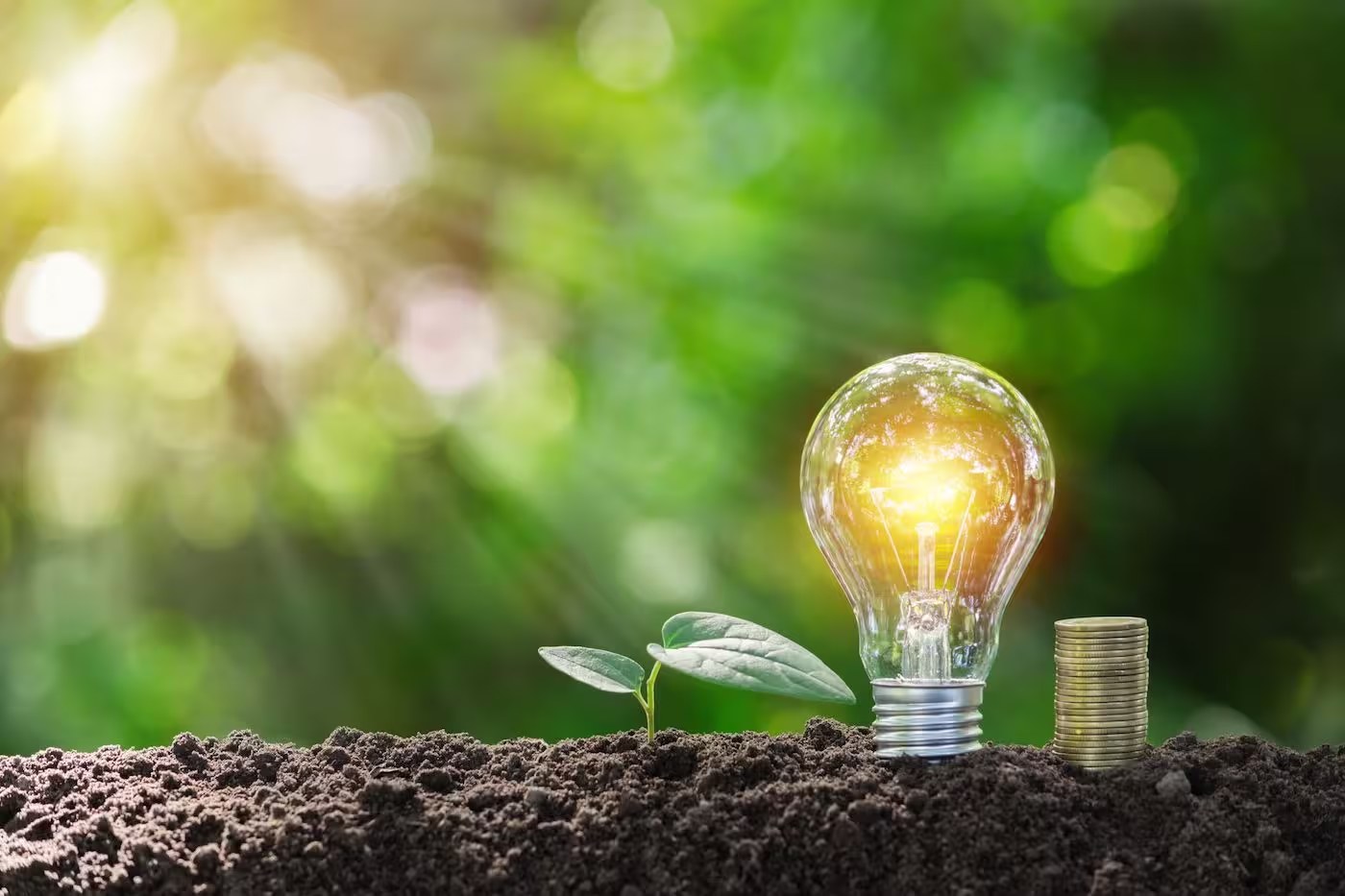 Dossier de financement innovation présenté par une entreprise innovante lors d'une réunion de travail